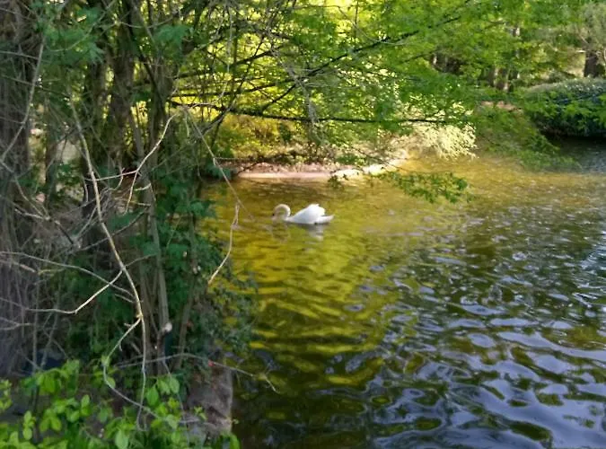 Francois 1er Апартаменты *