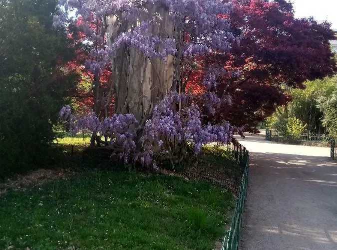 Apartment Francois 1er *